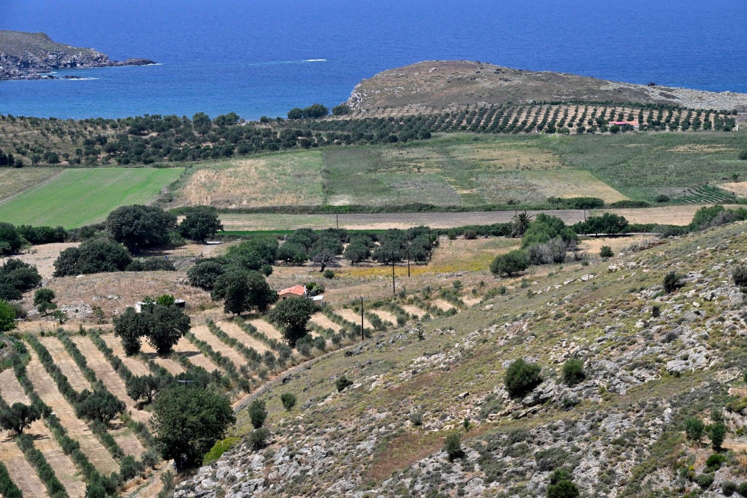 Χωράφια και ελαιώνες που κατεβαίνουν ως τη θάλασσα